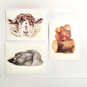 Set of 3 Animal Art Prints / Unused  Postcards - Sheep, Rabbit & Squirrels